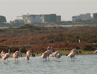 Aegean towns sue Forestry Ministry for opening protected wetlands to investors