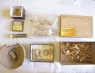 Sumerian materials found in box at British University