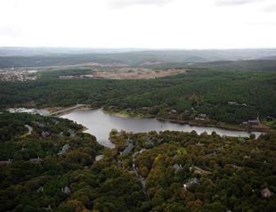 New legal arrangement to allow construction in forests without master plan