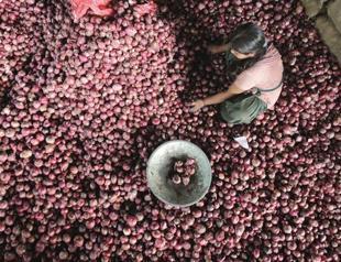 Food inflation to slow on higher crop: International bodies