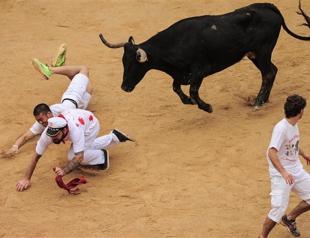 Two Australians gored in final Pamplona bull run