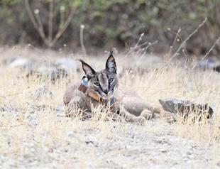 ‘Interactive’ nature museum to open in Antalya
