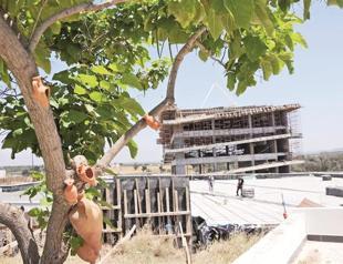 Troy ancient city to have green museum constructed