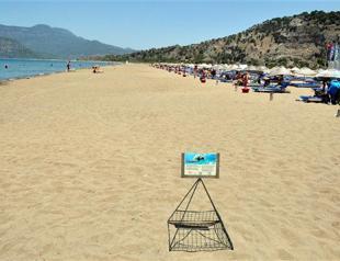 Activists gather over 38,000 signatures against privatization of protected beach