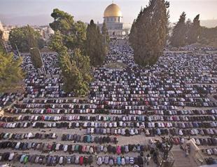 Turkey intensifies efforts for lasting truce, supplying aid to Gaza