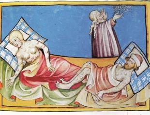 The plague: A pox upon the houses of everyone