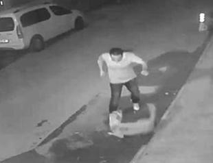 Animal activists protest man captured by video while beating stray dog to death