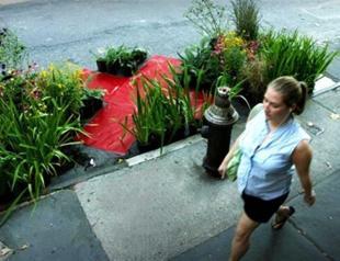 VIDEO: The art of the eco-mindshift