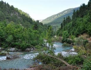 Ministry forbids hydroelectric plants on protected areas housing rare species