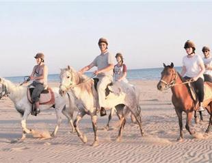 Horse trips an alternative to sea, sun and sand