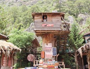 Tree houses draw tourists to Olimpos