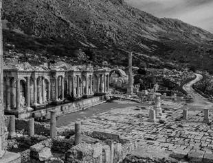 Red plates and fish bones