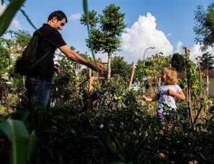 Parking lot project on Istanbul vegetable garden canceled after public uproar