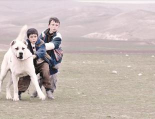 Two paws up for dogs in Turkish cinema