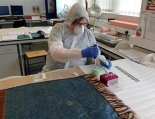 Jack the Ripper identified through DNA traces: sleuth