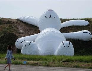 Hofmans giant white rabbit wows Taiwan