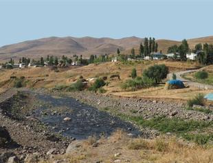 A feast of salty tea and lungs fit for newlyweds