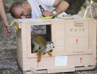 Antalyas Eko Park welcomes monkeys from South America