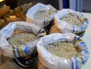 14-year-old arrested for selling bonzai in Istanbul