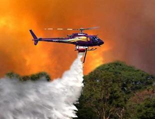 Russian pilot scoops water from zoo pond to douse fire, birds perished