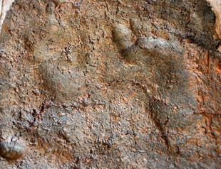 Ancient footprints discovered in Bursa