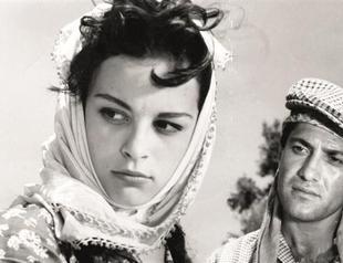 ‘Dry Summer’ selected best movie in Turkish cinema