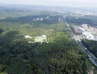 An aerial tour of Istanbuls disappearing forests