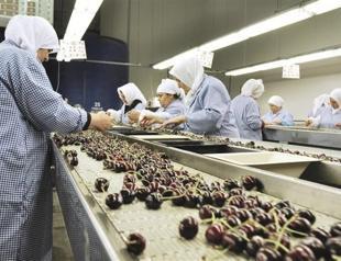 Women’s income one third of men in Turkey