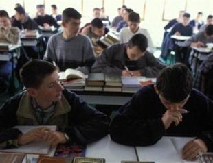 Turks in Serbia to introduce Turkish in primary schools