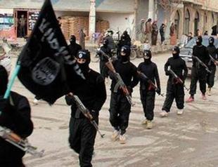 Arabs back anti-ISIL statement as Turkey abstains