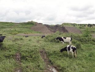 Financing of Istanbuls third airport ‘to be done by September’