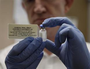 Experimental Ebola vaccine doses ready by 2015: WHO