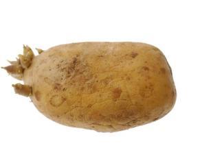 From ‘Mama Jatha’ to patates