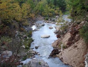 Turkish Cabinet issues urgent expropriation decision to build new hydroelectric and wind power plants
