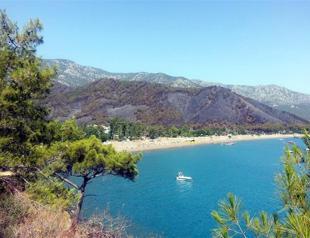 First official statement hints at arson in massive forest fire on Mediterranean