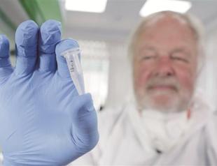 Bigfoot hair samples mostly from bears and wolves