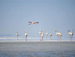 World Bank approves $400 million for Turkey’s gas storage