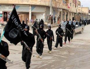 ISIL drawing a steady stream of recruits from Turkey: Report