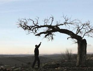 Golden Boll celebrates 100th year of cinema