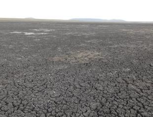 Eastern Turkish bird sanctuary threatened due to drought