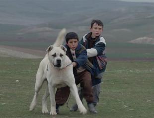 Golden Orange contest films announced