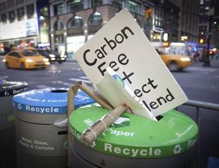 UN climate summit sets goals to save forests, use clean energy