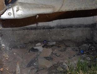 Cat trapped under pavement stone in Bodrum rescued with heavy duty vehicle