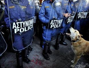 Loukanikos, Greeces protest dog, dies of heart attack