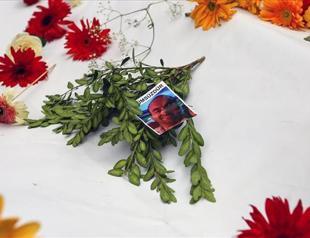 Prosecutors demand up to six years in jail for police officer who shot Uğur Kurt