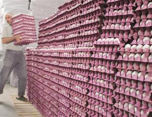 Russia sanctions, Iraq conflict slow exports