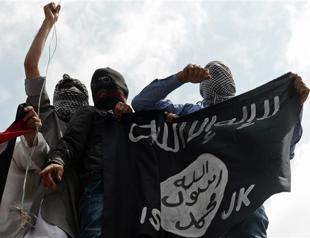 Pakistani Taliban declare allegiance to ISIL and global jihad