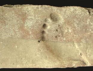 Footprint of an ancient laborer found in Çanakkale