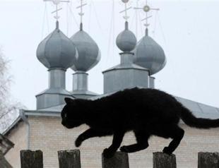Budapest’s black cats get Halloween protection