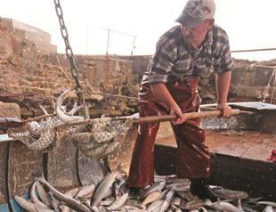 EU’s anti-dumping decision to hit Turkish fishermen